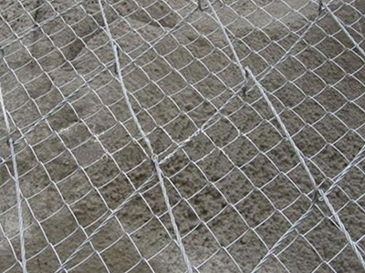 蜘蛛網(wǎng) 蜘蛛網(wǎng)