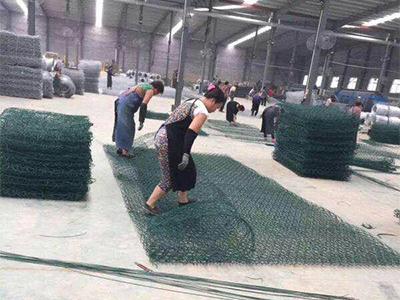 公司實(shí)景 公司實(shí)景